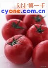 【番茄种植技术与管理法】反季节番茄的种植技术