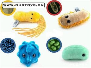[关于细菌的知识]细菌玩品：新奇特玩具让洛雯雯赚40万