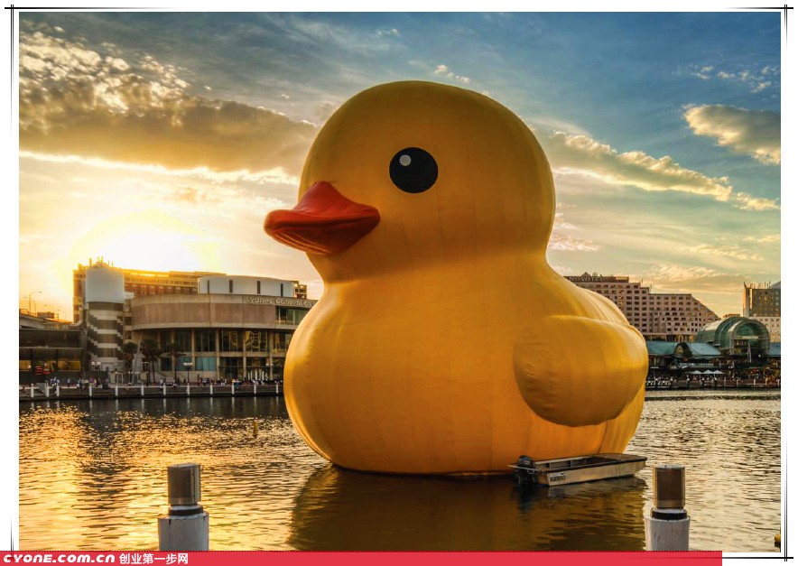 大黄鸭图片|大黄鸭为何能风靡全球?