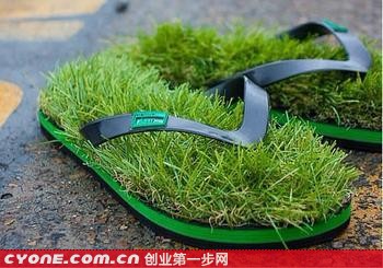 【绿草如什么】长绿草的拖鞋，助李艳红致富梦想成真