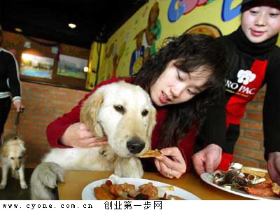 日本宠物餐厅|宠物餐厅：从宠物厌食中发现商机年入50万