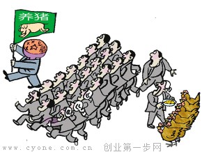 【岳福生】岳福洪：政府如果让你养猪，你养鸡就对了