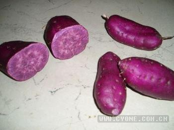 紫薯种植技术与管理|紫薯种植技术