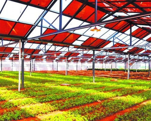 [唐建鹏]唐建峰的菜园能发电赚钱 发电立体式菜园让他月入3000