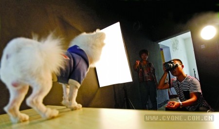 [宠物摄影工作室怎么开]宠物摄影工作室兴起　市场有待培育