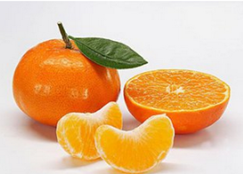 [柑橘新品种12元1斤]中国柑橘新品种汇总大全以及柑橘的生长环境