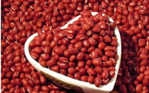 【红豆什么时候成熟】红豆什么时候能收获？红豆的五大好处
